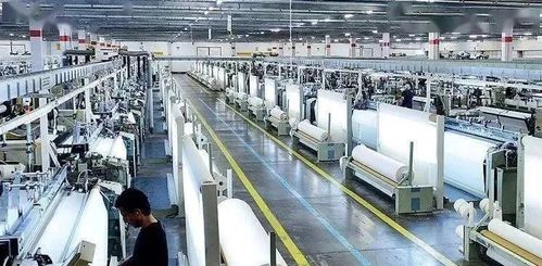 國內貿易代理新機遇 面料企業如何在夾縫中求生與突圍