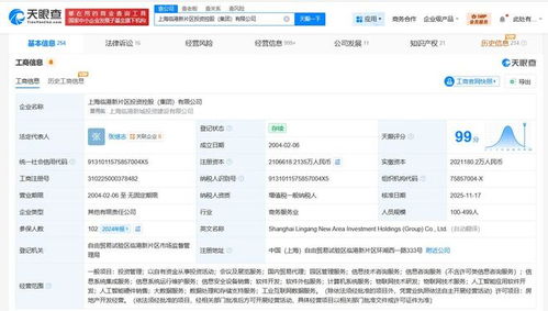 上海臨港新片區投資控股集團資本實力顯著增強，注冊資本增至210.7億元，業務版圖再擴張